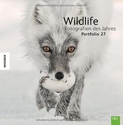 Wildlife Fotografien des Jahres – Portfolio 27