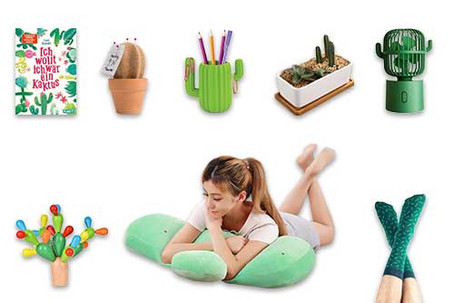 TOP 24 Geschenke für Kaktus Fans