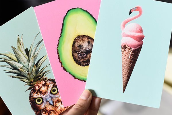 Die tollen Postkarten sind auch als große Leinwand oder Poster erhältlich.