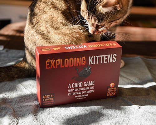 Katzenliebhaber aufgepasst: An diesem Spiel kommt ihr nicht vorbei!